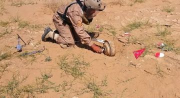 مسام ينتزع أكثر من 4700 لغم منذ مطلع الشهر الجاري