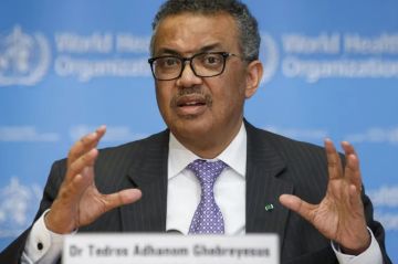 الصحة العالمية تدعو إلى الاحترام الكامل لوقف إطلاق النار في غزة الصحة العالمية تدعو إلى الاحترام الكامل لوقف إطلاق النار في غزة