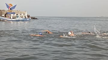 تأهل 20 سباحا إلى نهائيات بطولة النخبة للمياه المفتوحة على كأس الشهيد الغماري في الحديدة تأهل 20 سباحا إلى نهائيات بطولة النخبة للمياه المفتوحة على كأس الشهيد الغماري في الحديدة