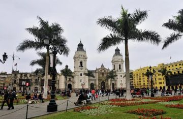 العصا الذهبية والأرض الموعودة! العصا الذهبية والأرض الموعودة!