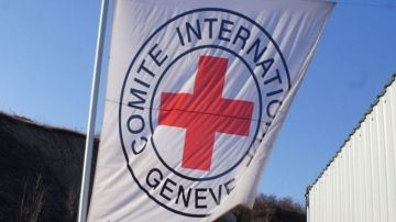 الصليب الأحمر : نواصل جهودنا للوصول إلى المعتقلين الفلسطينيين في سجون الإسرائيلية الصليب الأحمر : نواصل جهودنا للوصول إلى المعتقلين الفلسطينيين في سجون الإسرائيلية