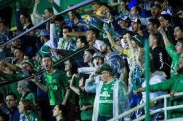 شابيكوينسي يعود إلى دوري الأضواء البرازيلي شابيكوينسي يعود إلى دوري الأضواء البرازيلي