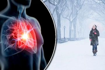 فصل الشتاء.. 5 نصائح للحفاظ على قلبك فصل الشتاء.. 5 نصائح للحفاظ على قلبك