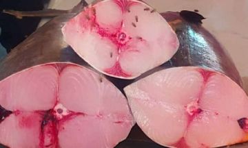 أسعار الأسماك اليوم الخميس فى عدن 27 نوفمبر 2025م أسعار الأسماك اليوم الخميس فى عدن 27 نوفمبر 2025م