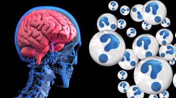 دراسة: أمراض اللثة قد تزيد مخاطر تلف المادة البيضاء في الدماغ دراسة: أمراض اللثة قد تزيد مخاطر تلف المادة البيضاء في الدماغ