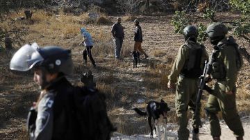 مستوطنون يواصلون اعتداءاتهم على الفلسطينيين وممتلكاتهم في الضفة الغربية والقدس المحتلة