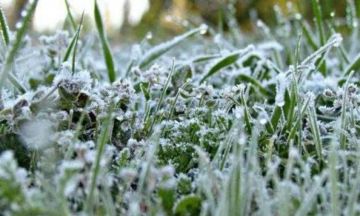 موجة صقيع تضرب هذه المحافظات اليمنية.. تحذيرات هامة موجة صقيع تضرب هذه المحافظات اليمنية.. تحذيرات هامة