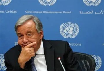 الأمم المتحدة: تغيير التركيبة السكانية في الأراضي الفلسطينية المحتلة يرقى إلى جرائم حرب و جريمة ضد الإنسانية