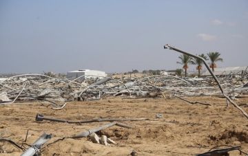 الفاو تحذر من كارثة إنسانية وزراعية غير مسبوقة في قطاع غزة الفاو تحذر من كارثة إنسانية وزراعية غير مسبوقة في قطاع غزة