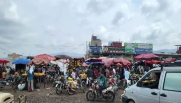 ضربة موجعة للإجرام في الضالع.. القبض على قاتل ومتهم جنائي فار من العدالة