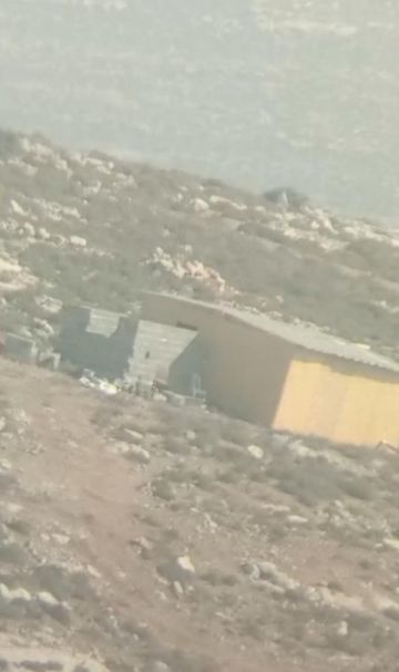 مستوطنون يوسعون بؤرة استيطانية شمال الخليل وآخرون يسرقون الزيتون بعقربا