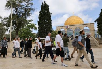 هآرتس: معطيات أمنية تكشف ارتفاعا كبيرا باعتداءات المستوطنين بالضفة هآرتس: معطيات أمنية تكشف ارتفاعا كبيرا باعتداءات المستوطنين بالضفة