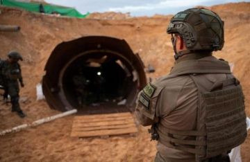 الكابينت الإسرائيلي: اتفاق بين كوشنر ونتنياهو لترحيل مقاتلين أنفاق رفح الكابينت الإسرائيلي: اتفاق بين كوشنر ونتنياهو لترحيل مقاتلين أنفاق رفح