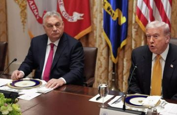 ترامب: أوكرانيا فقدت جزءا كبيرا من أراضيها خلال النزاع ترامب: أوكرانيا فقدت جزءا كبيرا من أراضيها خلال النزاع