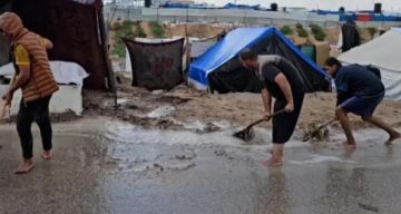 المنظمات الأهلية تدعو إلى إدخال المساعدات الإنسانية إلى قطاع غزة فورا