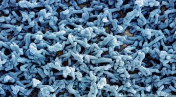 إثيوبيا تحذر من فيروس ماربورغ.. اليمن على رأس الدول المعرضة للخطر