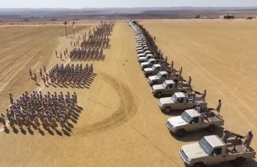 صحيفة: التوتر في حضرموت ينعكس خلافا داخل مجلس القيادة الرئاسي صحيفة: التوتر في حضرموت ينعكس خلافا داخل مجلس القيادة الرئاسي