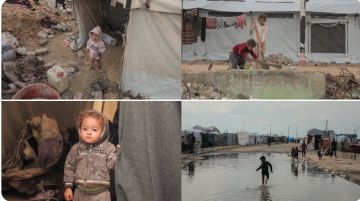 يونيسف تدعو لاحترام وقف اطلاق النار والسماح بدخول المزيد من المساعدات الى غزة يونيسف تدعو لاحترام وقف اطلاق النار والسماح بدخول المزيد من المساعدات الى غزة