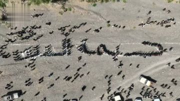 لقاء قبلي مسلح في الحيمة الداخلية وفاء لدماء الشهداء وإعلانا للجهوزية