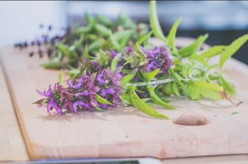 فوائد عشبة الناردين مذهلة في علاج القلق وتحسين جودة النوم