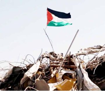 قراءة في خيارات المقاومة وتحديات المرحلة غزة بين القرار الدولي واستراتيجية الاحتلال..