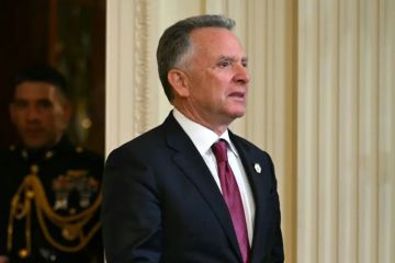 ويتكوف يكشف ملامح خطة ترامب الحقيقية في أوكرانيا: كسب المال لا الحرب!