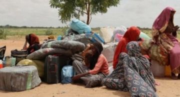 الهجرة الدولية: نزوح 81 ألف سودانيا من الفاشر الهجرة الدولية: نزوح 81 ألف سودانيا من الفاشر