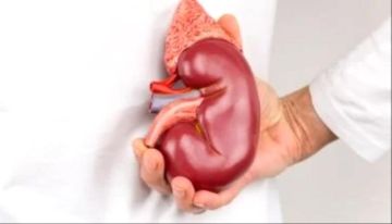 طرق بسيطة للوقاية من حصوات الكلى فى الشتاء