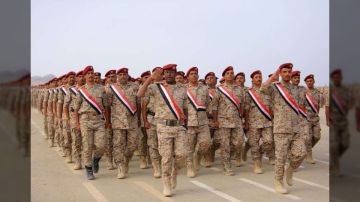 انسحاب قوات درع الوطن من منطقة الصبيحة بلحج بعد حملة أمنية مشتركة