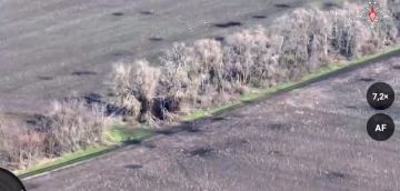 الدفاع الروسية: تدمير مراكز قيادة طائرات مسيرة أوكرانية في دنيبروبيتروفسك بالمدفعية