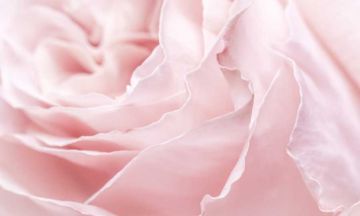 على القماش روحي