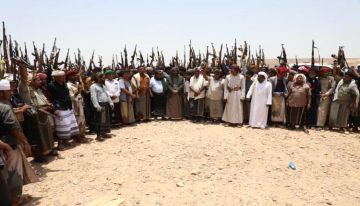 حضرموت بين شعار حماية الحقوق وواقع الدولة الموازية