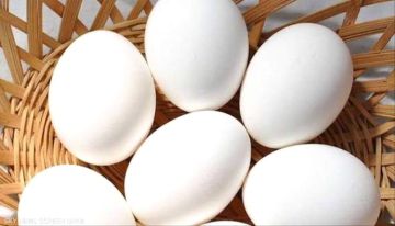 ارتفاع جديد في أسعار البيض بعدن.. تجار التجزئة يشكون حجة البرد واتهامات برفع غير مبرر