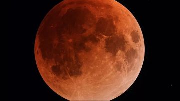 استعدو لقمر القندس العملاق: مشهد سماوي لا يفوت استعدو لقمر القندس العملاق: مشهد سماوي لا يفوت