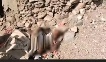 استشهاد شابة وإصابة آخرين بقصف جوي حوثي جنوب الحديدة استشهاد شابة وإصابة آخرين بقصف جوي حوثي جنوب الحديدة