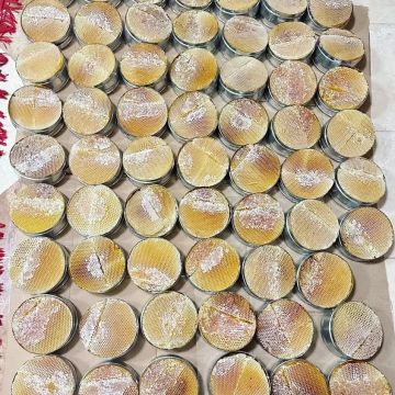 عدن تستعد لاحتضان أول مهرجان محلي للعسل مطلع 2026