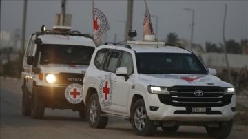 هيئة البث تعلن تسلم إسرائيل 3 جثث وترجح أنها لأسرى بغزة هيئة البث تعلن تسلم إسرائيل 3 جثث وترجح أنها لأسرى بغزة