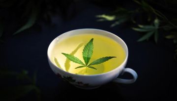 شاي صيني يتسبب بمشكلة مرورية في دولة اجنبية ! شاي صيني يتسبب بمشكلة مرورية في دولة اجنبية !