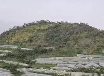 خمس محافظات على موعد مع الصقيع خلال الساعات القادمة وتحذيرات مهمة للمواطنين