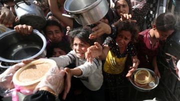 الأغذية العالمي يدعو لفتح المزيد من المعابر الحدودية لتوصيل الغذاء إلى غزة