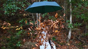 مرتفعات (هامسي كوي).. جمال تزينه ألوان الخريف بتركيا