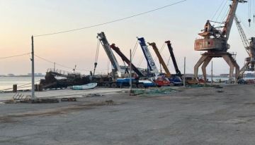 ميناء الاصطياد في عدن يعود للحياة.. انتشال السفن وتطوير الثروة السمكية ميناء الاصطياد في عدن يعود للحياة.. انتشال السفن وتطوير الثروة السمكية