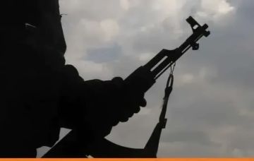 مسلح يطلق النار في سوق بصنعاء ومقتل مسن وإصابة مواطنين مسلح يطلق النار في سوق بصنعاء ومقتل مسن وإصابة مواطنين