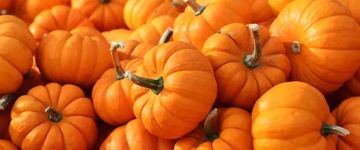 البطاطا الحلوة أم اليقطين: أيهما أفضل لسكر الدم؟