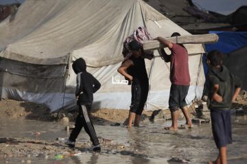 الصليب الأحمر محذرا من تفاقم الأزمة الإنسانية: مئات العائلات بغزة معرضة للبرد والفيضانات