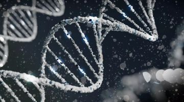 دراسة تكشف التوصل لحل لغز قد يطيل عمر البشر لمئات السنين دراسة تكشف التوصل لحل لغز قد يطيل عمر البشر لمئات السنين