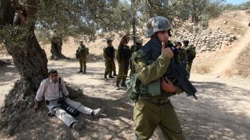 العدو الصهيوني يمنع قطف الزيتون في سلفيت ويشرع بعمليات هدم جنوب بيت لحم