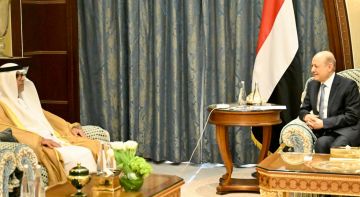 العليمي يؤكد سعي الإمارات لصفقة بحضرموت