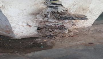 عدن...صورة تكشف الاهمال في الشارع الرئيسي بالمعلا