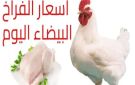 سعر الفراخ في مصر اليوم الجمعة 28 نوفمبر 2025